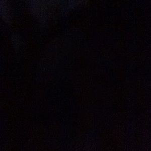 Meet your Posher, Sadie